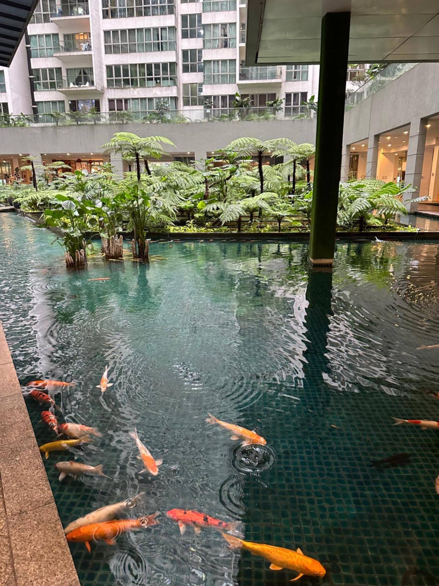Modern Bauhaus Studio At Regalia Klcc Infinity Pool Kuala Lumpur Kültér fotó